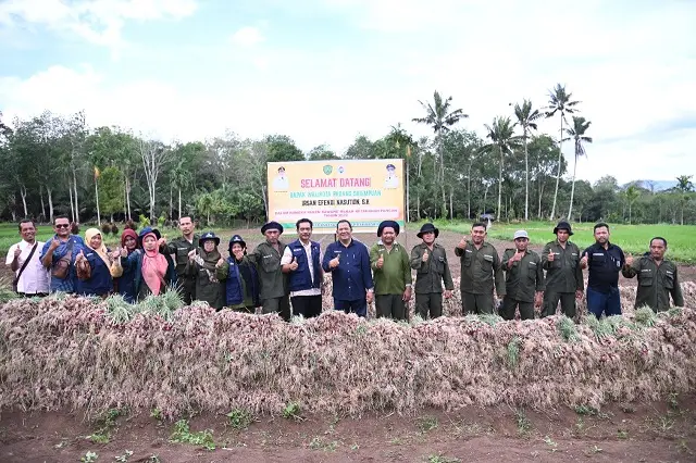 Kota Padang Sidempuan...