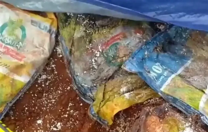 Temuan Beras di Depok,...