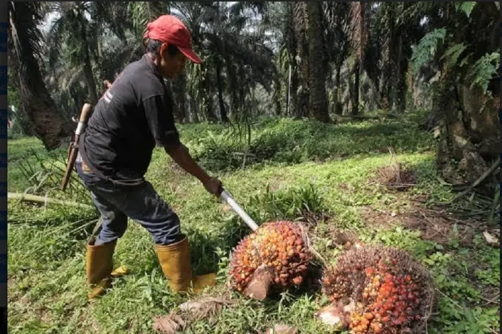 Atasi Anjloknya Harga...