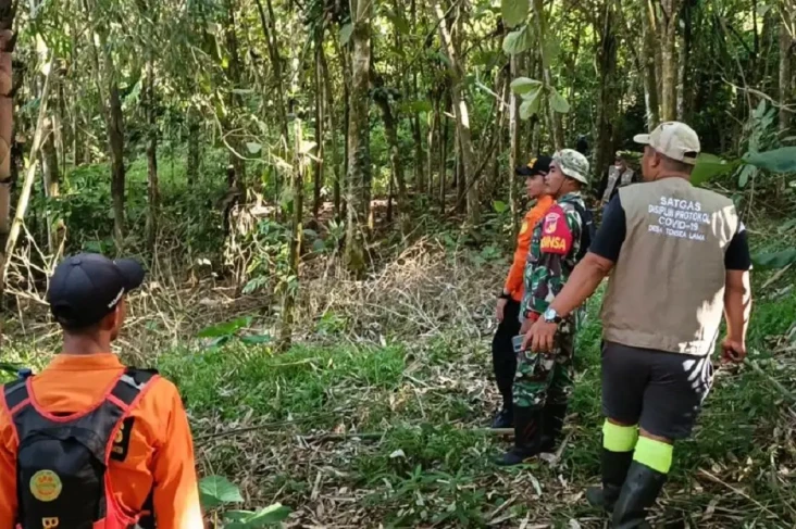 Hilang di Perkebunan...