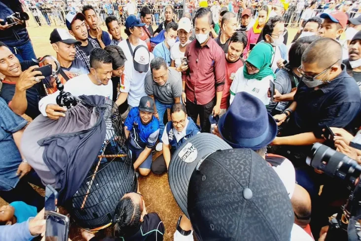 Terkesima Lomba Kicau...