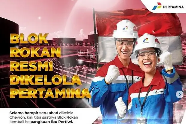 Setahun di Pangkuan...