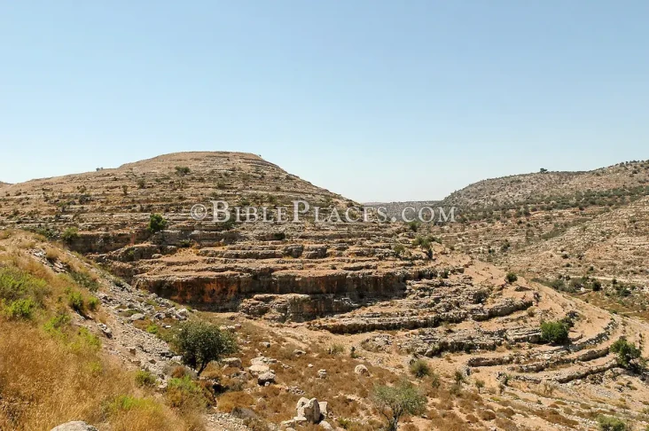 Ilmuwan Israel Temukan...