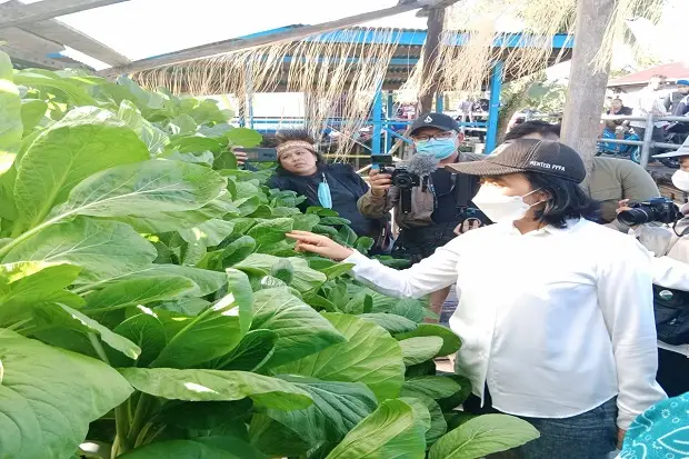 Kunker di Asmat, Menteri...
