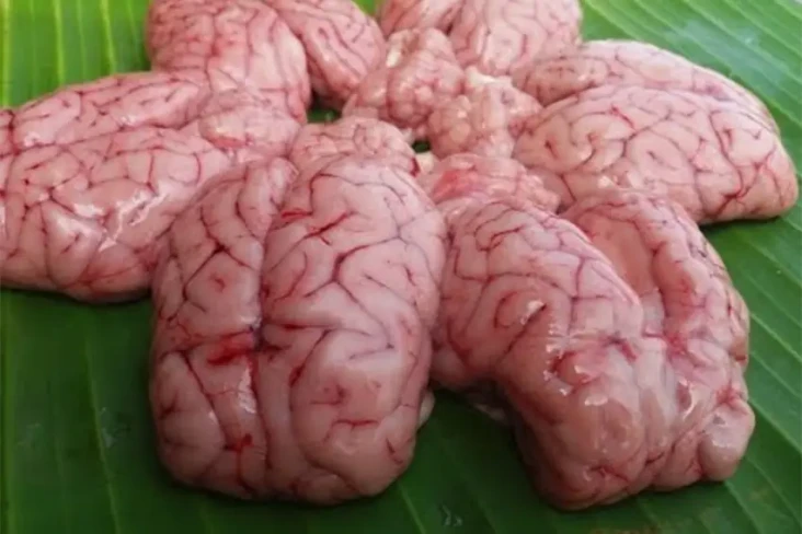 4 Bagian Tubuh Kambing...