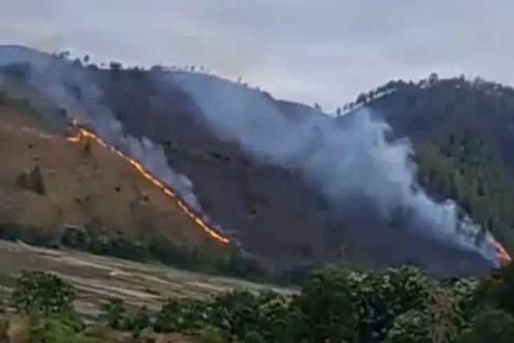 40 Hektare Lahan di...