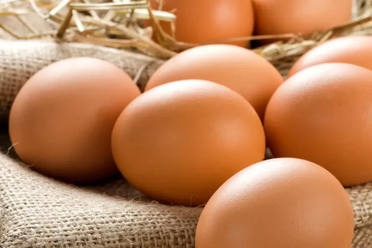 4 Telur yang Mengandung...