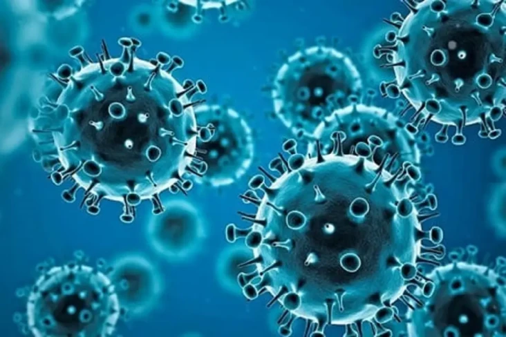 Virus Langya Ditemukan...