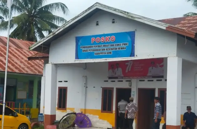 PMK di Bone Menyerang...