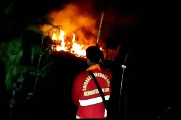 2 Pembakar Hutan di...
