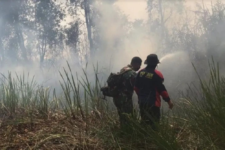 Lahan Terbakar di Sumsel...