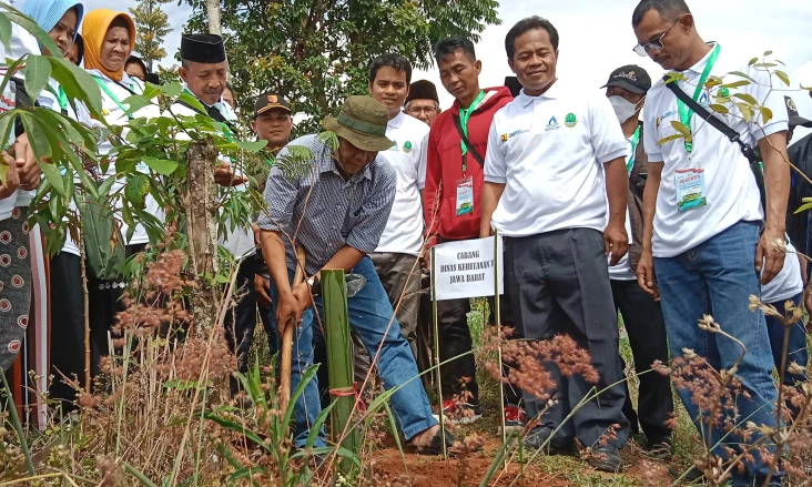 Puluhan Hektare Lahan...
