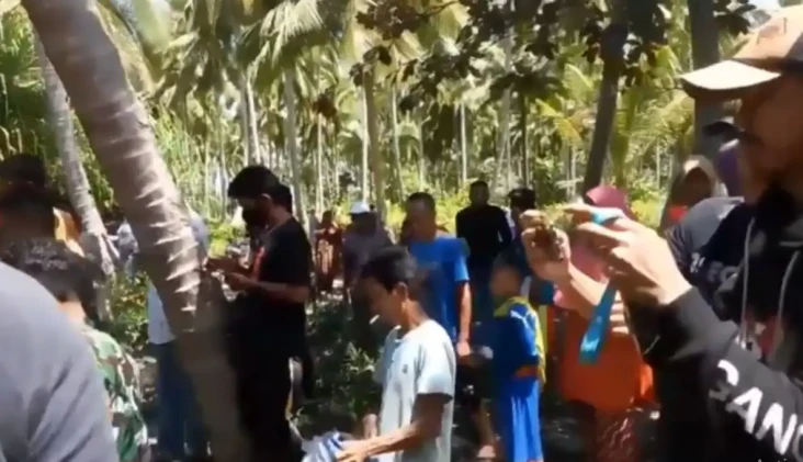 Buton Utara Gempar!...