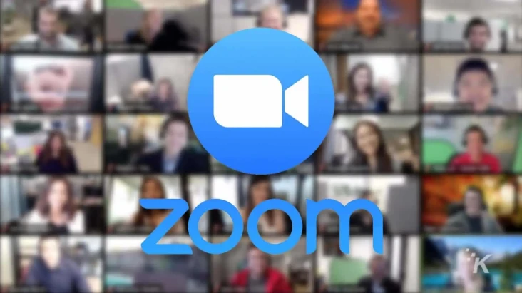 Ditemukan Celah di Zoom...