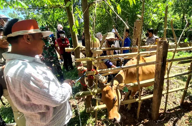Cegah PMK di Kecamatan...