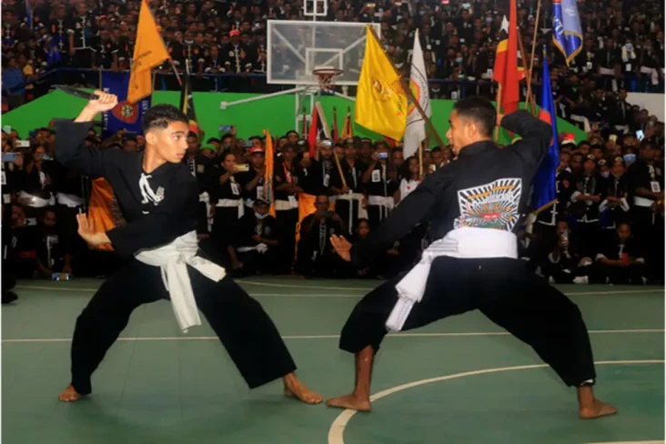 Perjalanan Silat PSHT...