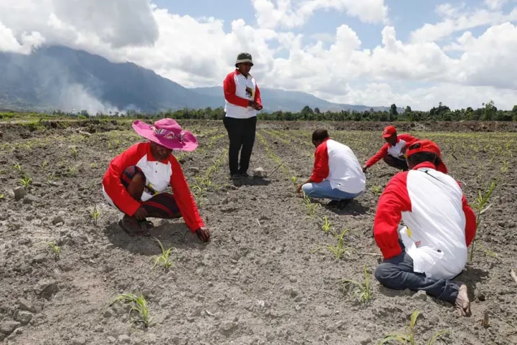 Papua Muda Inspiratif...