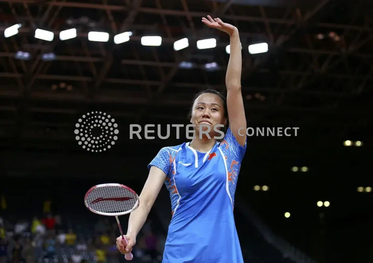 Profil Zhao Yunlei,...