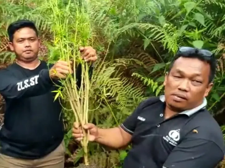 Sakit Hati Tak Dapat...