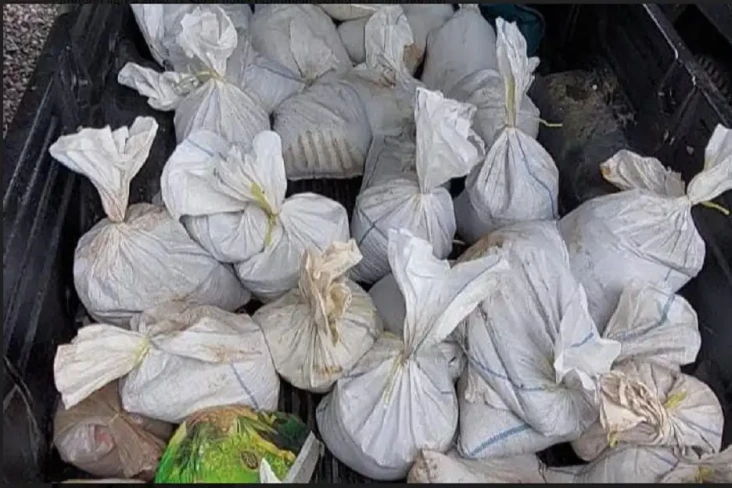 Tangkap 3 Perambah Hutan...
