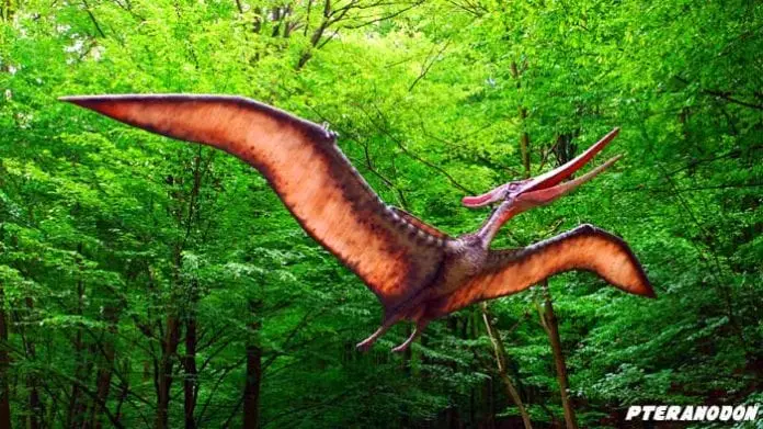 4 Dinosaurus Terbang...