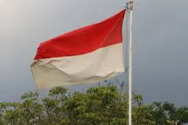 Pelaku Pembakaran Bendera...