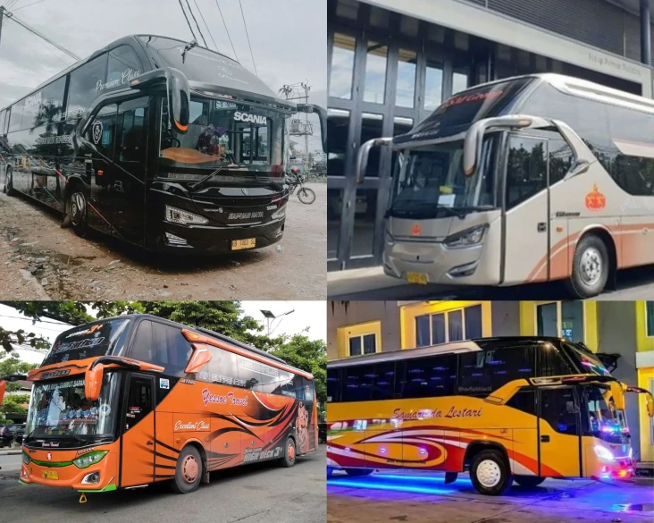 4 PO Bus Mewah di Kalimantan,...
