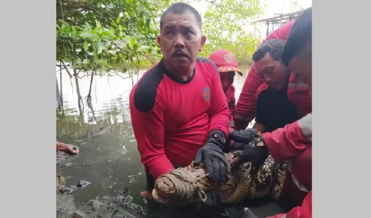 Mengerikan! Ini Penampakan...