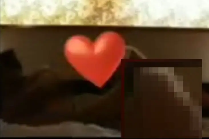 Fakta-fakta Video Viral...