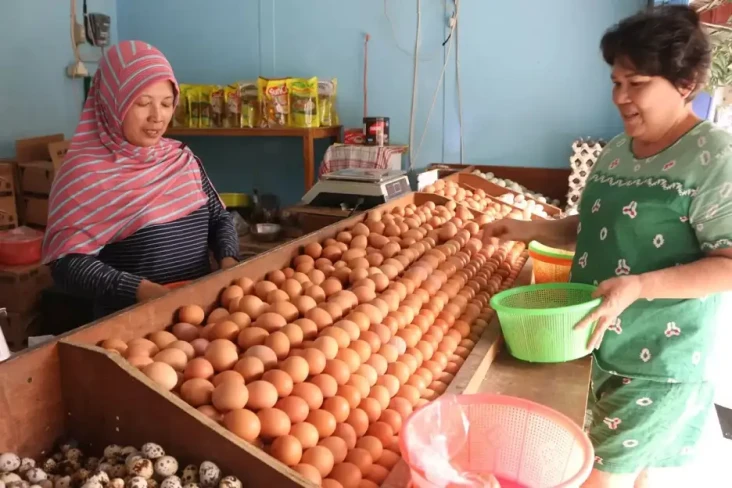 Masih Mahal, Harga Telur...