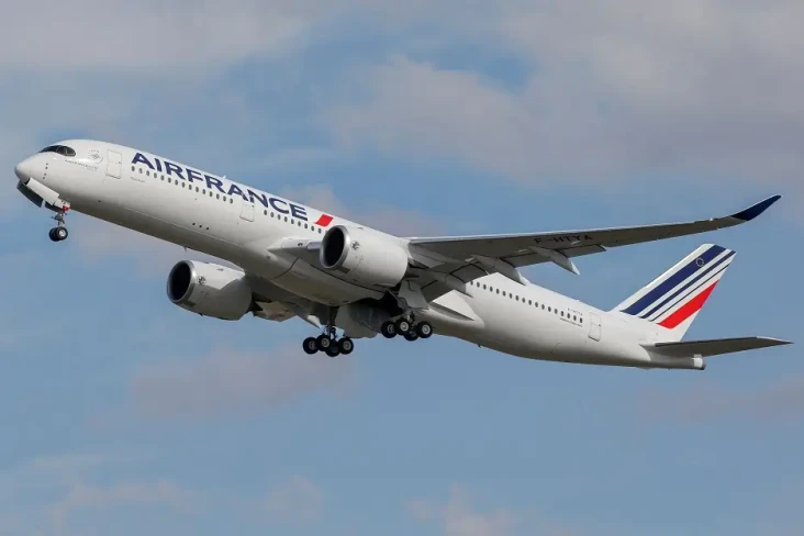 Dua Pilot Air France...