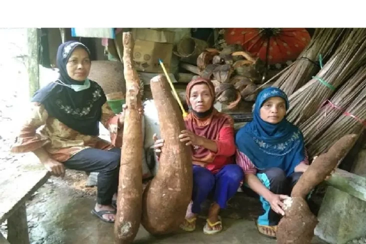 Dukung Pangan Lokal,...