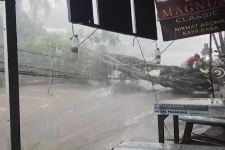 Hujan Deras, Pohon Tumbang...
