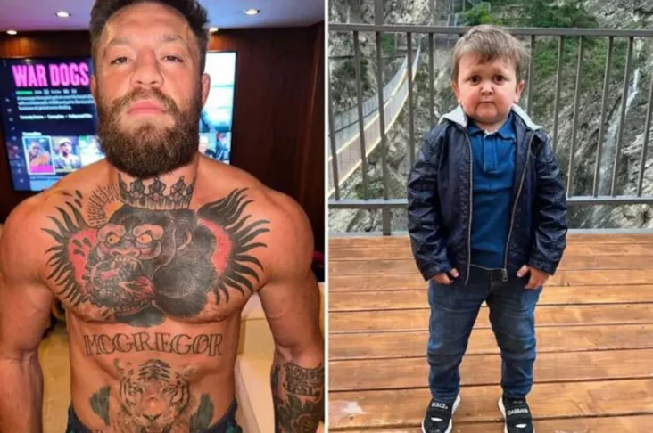 Conor McGregor Hina...