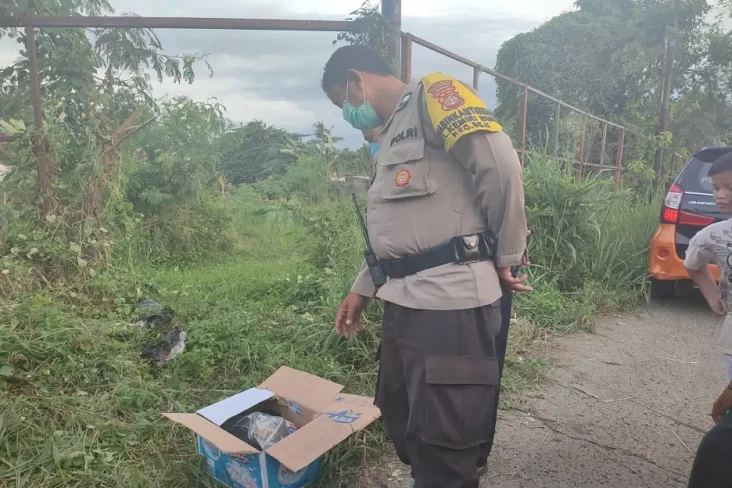 Penemuan Mayat Bayi...