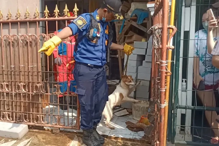Sadis! 15 Ekor Anjing...