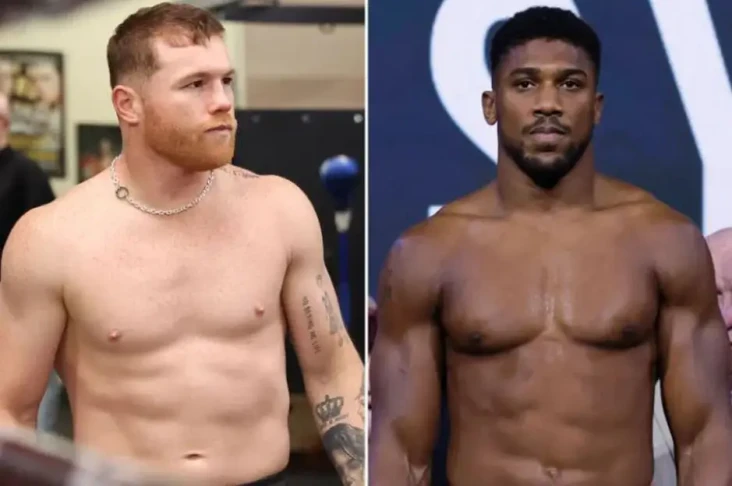 Canelo Didesak Lawan...