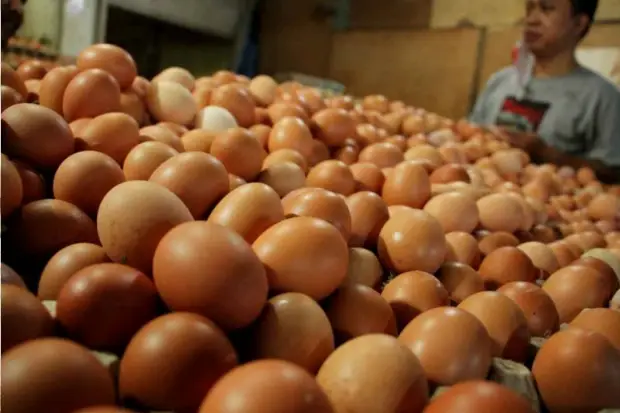 Harga Telur Ayam di...