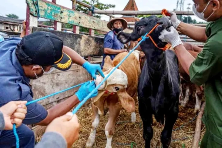 Diskusi Kementan Bersama...