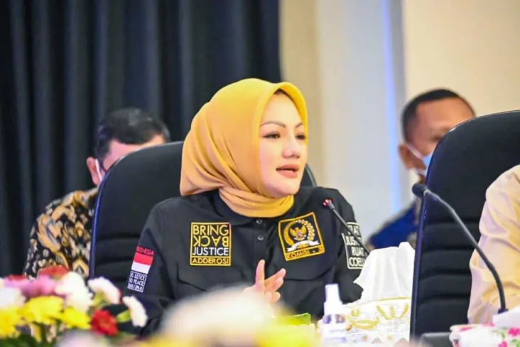 DPR Sebut Pembebasan...