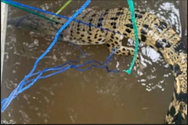 Kaget, Mancing Ikan...