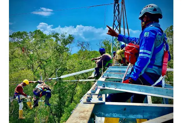 Jelang KTT G20, PLN...