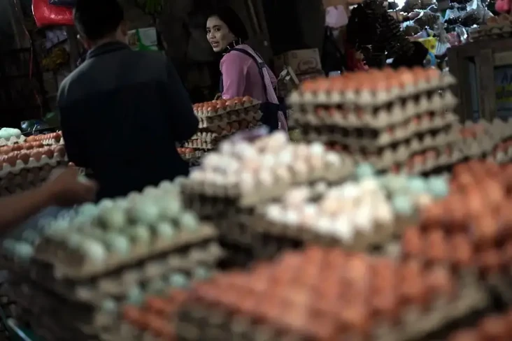 Harga Telur Ayam di...