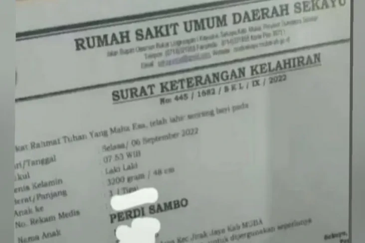 Viral! Bayi di Muba...