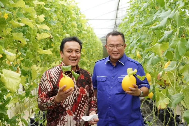 Stafsus Presiden Sebut...