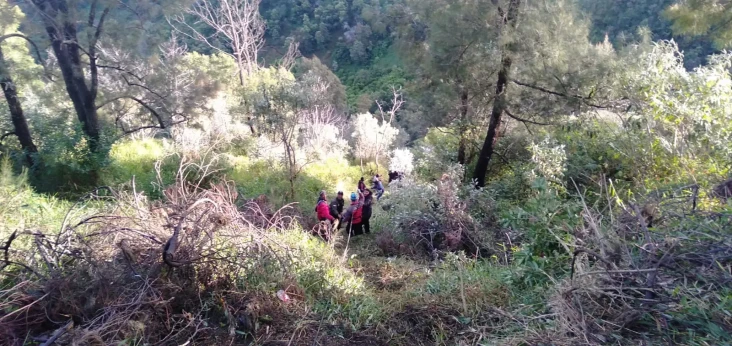 Jip Rombongan Wisatawan...