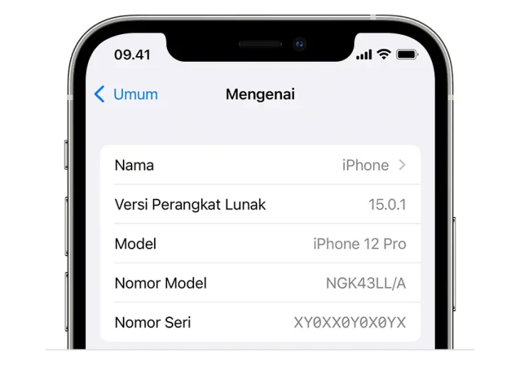 6 Cara Cek IMEI di iPhone,...