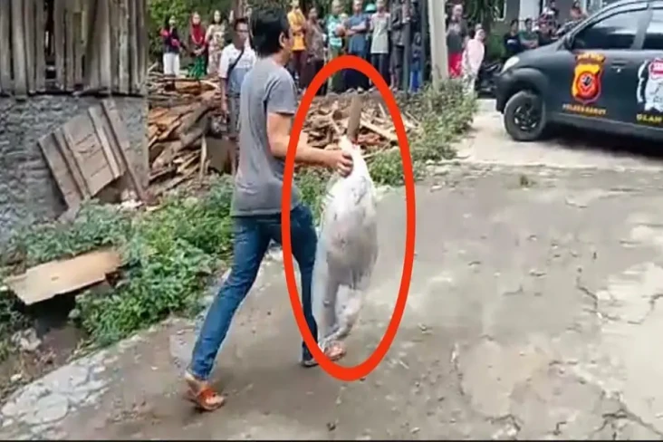 Karyawan Pabrik Tahu...