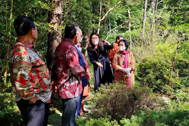 Tanam Pohon di Jeju...