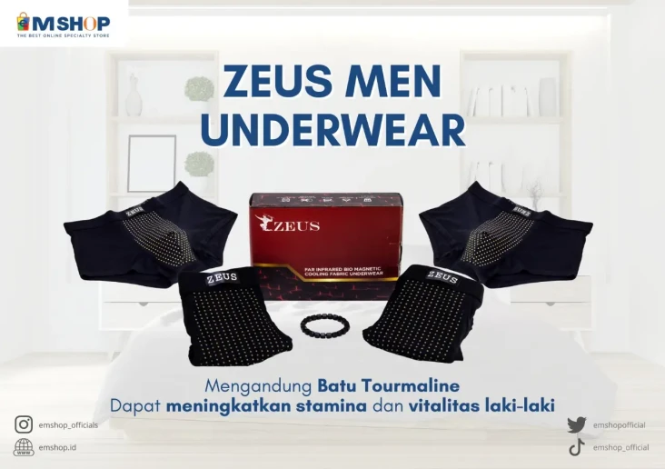 Zeus Men Underwear,...